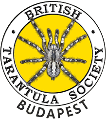 British Tarantula Society Budapest